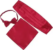 [AKOOSY] Your Tuxedo Bow Tie Pocket Square Holder Cummerbund Set Polyester for Men's Formal Wear