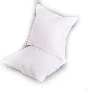 Throw Pillows Insert (Pack of 2, White) - 18 x 18 Inches Bed and Couch Pillows - Indoor Decorative Pillows