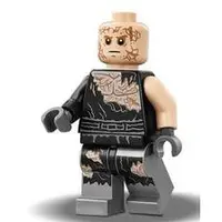 在飛比找蝦皮購物優惠-LEGO 樂高 星際大戰人偶 天行者 sw829 安納金 戰