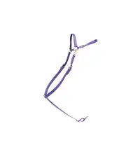 HORSE SIZE- READY MADE-Purple ENGLISH BREAST COLLAR Made from BETA BIOTHANE