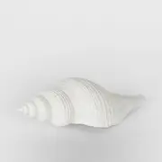 [Florabelle Living] Sara White Sea Snail 23X8X7CM