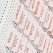 BRYTEFY Laminated Bible Tabs (Gold Foil Stamped Lettering), Bible Journaling Supplies, Bible Book Tabs, Christian Gift, 66 Bible Tabs Old and New Testament, Including 24 Blank Tabs (Pink)