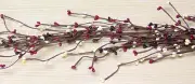 Country Mix Wispy Pip 4 foot Garland