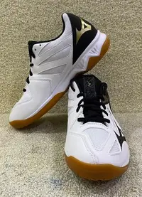 在飛比找Yahoo!奇摩拍賣優惠-= 威勝 運動用品 = Mizuno THUNDER BLA