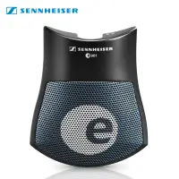 在飛比找momo購物網優惠-【SENNHEISER】E901 電容式 大鼓專用麥克風(原
