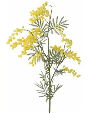 [Florabelle] Australian Wattle 85cm in Yellow