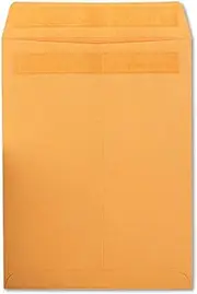 QUA37805 - Quality Park Clasp Envelope