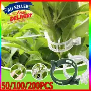 50-200x Garden Ties Tomato trellis Stake Plant Support Clips Veggie Greenhouse~