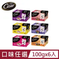 在飛比找PChome24h購物優惠-【Cesar西莎】精緻/風味餐盒 100g*6入 寵物/狗罐