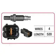 RAE Oxygen Sensor - OX490