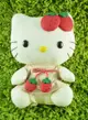 【震撼精品百貨】Hello Kitty 凱蒂貓 KITTY絨毛娃娃-環保草莓造型-M 震撼日式精品百貨