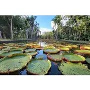 Save 10.00%! Discover North Mauritius: Private & Tailored Full-Day Adventure