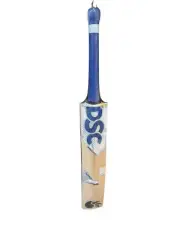 DSC Pearla Impress Cricket bat