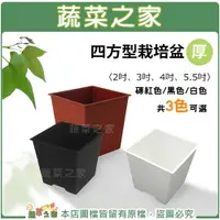 在飛比找樂天市場購物網優惠-【蔬菜之家】四方型栽培盆(厚)2吋、3吋、4吋、5.5吋(黑