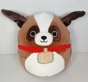 KellyToy Squishmallows Sassafras the Saint Bernard Dog Plush 8Inch 20 CM BNWT