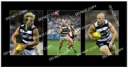 GARY ABLETT Jr GEELONG FC GREAT 3 8x6 LARGE PHOTOS