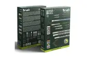 GSW - Starter Brush Set