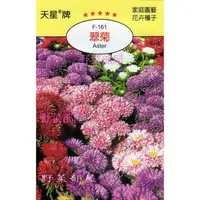 在飛比找蝦皮購物優惠-【萌田種子~花卉種子】Y08 翠菊Aster~穗耕種苗~天星