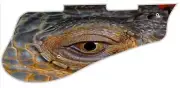 Pickguard Pick Guard 5120 Graphical Graphic Guitar Reptile Eye