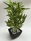 Artificial Bamboo Plant in Pot Indoor Tree Home Greenery