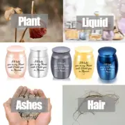 Small Cremation Urn Jar Holder Keepsake for Pet Ashes Memorial Funeral BoxSC