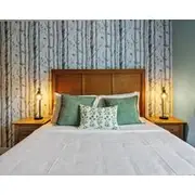 Spacious High-end Two Bedroom Two Bathroom Condo In Canmore/banff