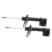 Front Monroe OE Spectrum Shock Absorbers for Citroen C4 B7 DS4 NX 1.6 2.0 09-15