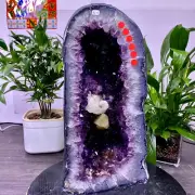 34LB Natural Amethyst Geode Quartz Crystal Cluster Cathedral Energy healing