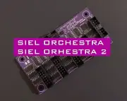 Siel Orchestra / Siel Orchestra 2 MIDI kit retrofit Vitalka Custom