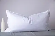 ArcticNorthDown King Size Goose Down Feather Hotel Collection Bed Pillows