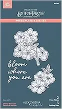 Cherry Blossoms BetterPress Plate & Die Set from The Spring in Kyoto Collection by Alex Syberia Designs