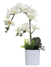 White Orchid Artificial Flowers in Pot, Fake Plastic Orchid White 2 Bouquets