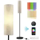 RGB Floor Lamp LED Smart: Standing Lamp Work with Alexa & Google Home | Tall ...