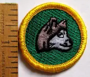 Girl Scout Junior DOG SLEDDING BADGE Council Own Snow Alaska Husky Mushing Patch