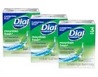 Dial Completee Mountain Fresh Antibacterial Soap 4oz. Bars, 3 Count - Pack of 3