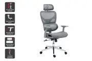 Ergolux EZ11 Ergonomic Office Chair with Dynamic Lumbar Support (Grey)