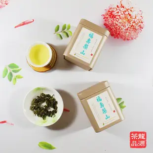 【龍源茶品】霜降梨山冬片烏龍茶│國寶級碧玉綠溪福壽梨山茶葉│頂級芳馥杉林溪龍鳳峽烏龍茶葉50g*12罐-共600g/斤