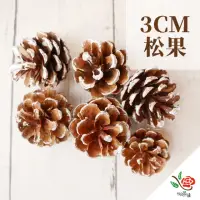 在飛比找momo購物網優惠-【極度花燥】松果 3CM(果實)