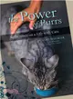 The Power of Purrs: Reflections on a Life With Cats