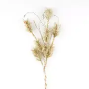 Group of 2 Frosted Platinum 27" Artificial Pine Sprays