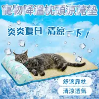 在飛比找樂天市場購物網優惠-寵物涼蓆墊 寵物墊 寵物睡墊 寵物涼感墊 冰絲涼墊 寵物靠枕
