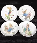 8 Beatrix Potter Peter Rabbit Assorted Easter Appetizer Plates 6" Floral Garden