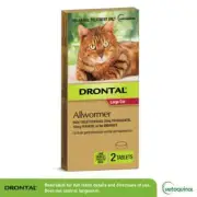 Bayer Drontal Cat Allwormer 6kg 2's