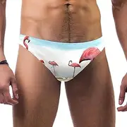 [VBFOFBV] Men's Printed Jammer Swimsuit Swim Shorts, Ethnic Pattern Vintage Art Flower Floral
