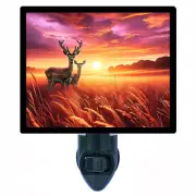 Decorative Photo Night Light, Deer Sunset, Wildlife