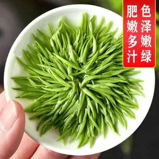 【茶品名】毛尖茶 毛尖茶葉 【明禹】信陽毛尖特級嫩芽尖2023新茶250g罐裝春尖茶葉綠茶毛尖茶