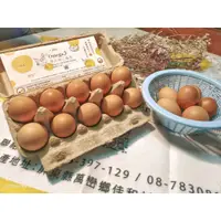 在飛比找蝦皮購物優惠-奧米迦三鱻蛋 DHA紅殼雞蛋 一盒十入 安全無毒 非籠飼放牧