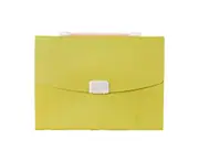 13-Pocket Expanding File Folder, Letter Size File Organizer, Document Folder with Handle