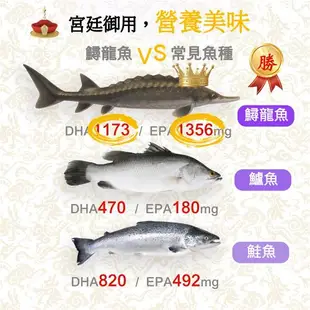 【慢食優鮮】鱘龍魚XO醬 210g 三入禮盒組 常溫 無防腐劑 干貝搭配辣椒炒足 拌菜 拌飯 自用 送禮 最佳選擇