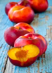 Buy Nectarine TangO Grafted Fruit Tree (Prunus persica)